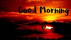 Good Morning Whatsapp Status Video Download For Family